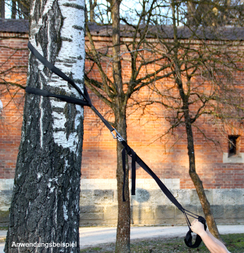 Baumschlinge 4m mit Karabiner an einem Baum befestigt, ideal für Sling-Training und Hängematten. Made in Germany.