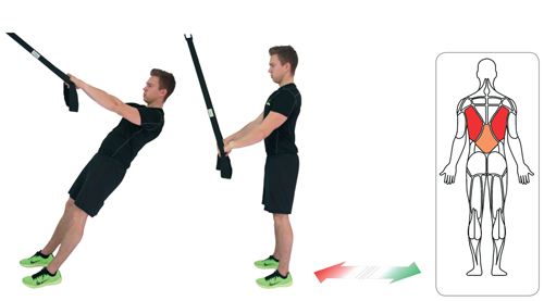 Schlingen Trainer: 14 eaglefit® Ganzkörper-Übungen interaktive 