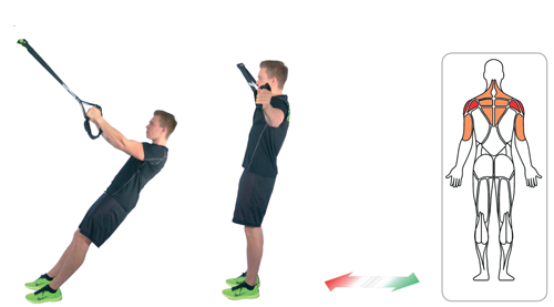 Schlingen Trainer: 14 | interaktive Ganzkörper-Übungen eaglefit®