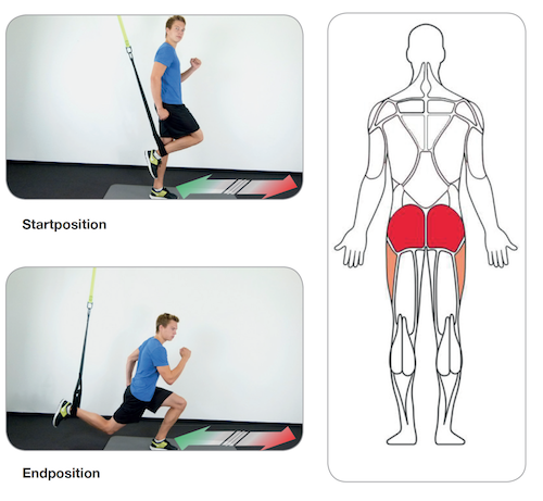 Training the gluteal muscles